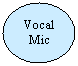 Oval: Vocal
Mic
